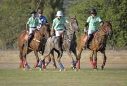 开云体育登录网站入口-世界青少年马术锦标赛在内蒙古开幕，青少年马术比赛限制多大年龄